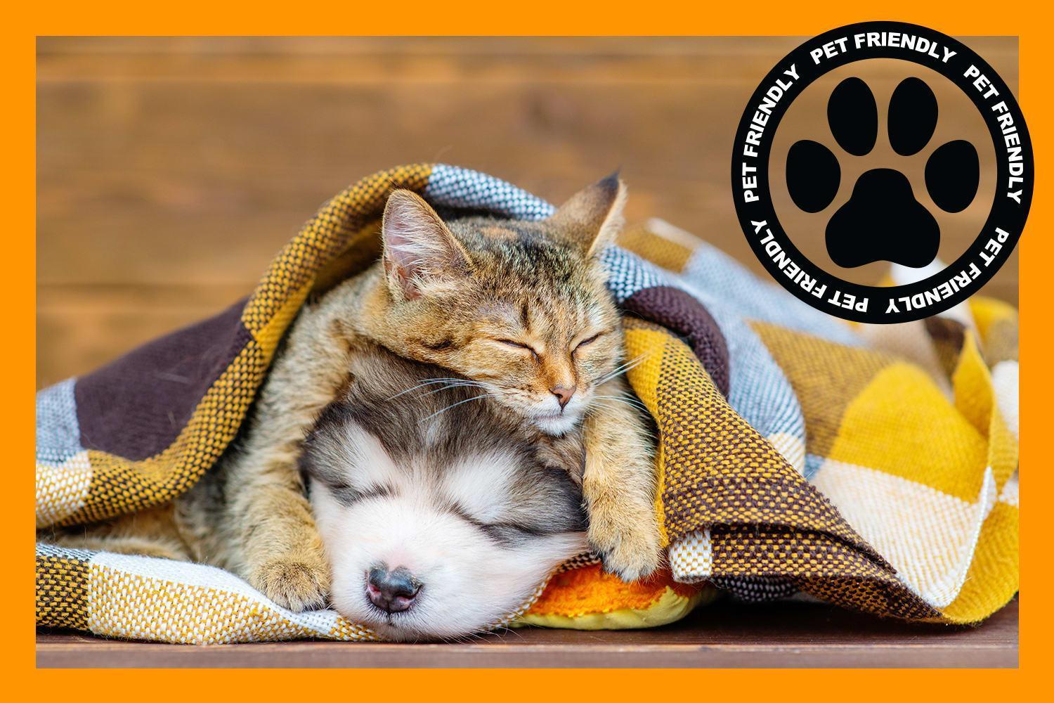 Cozy For Bookworms - Laundry - King Bed - Parking Apartment ซอลต์เลคซิตี้ ภายนอก รูปภาพ